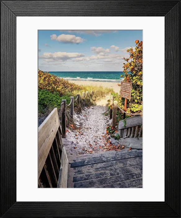Framed Print : Florida, Boca Raton, Red Reef Park, walkway to the beach Framed Print : Florida, Boca Raton, Red Reef Park, walkway to the beach