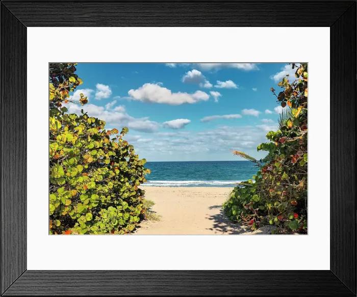 Framed Print : Florida, Boca Raton, Red Reef Park, walkway to the beach Framed Print : Florida, Boca Raton, Red Reef Park, walkway to the beach