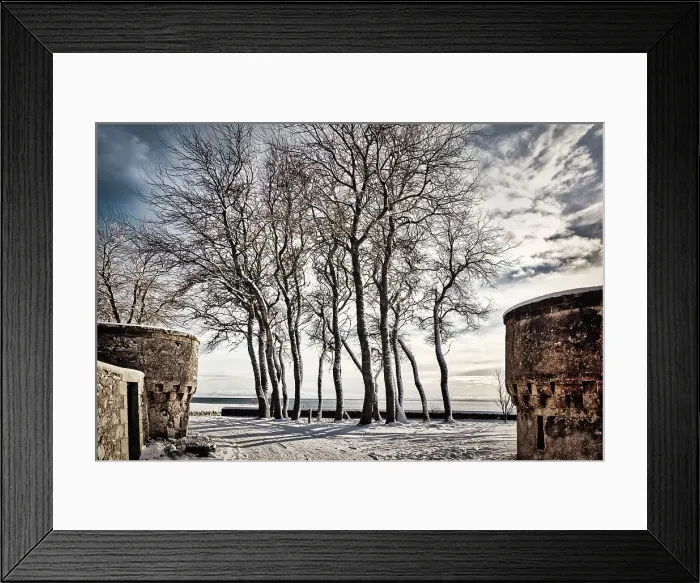 Framed Print : Scotland, Highland, Winter scene with trees Framed Print : Scotland, Highland, Winter scene with trees
