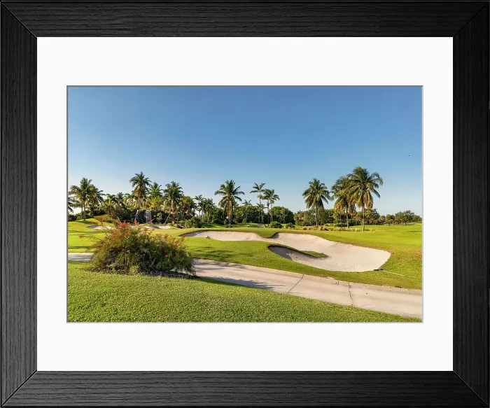 Framed Print : Florida, Boca Raton, golf course with palm trees Framed Print : Florida, Boca Raton, golf course with palm trees