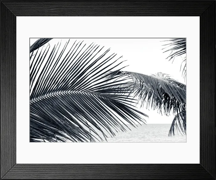 Framed Print : Tropical palm tress on the beach Framed Print : Tropical palm tress on the beach