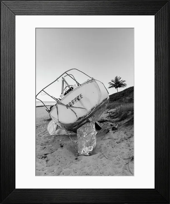 Framed Print : Boat wreck on beach with palm tree in background