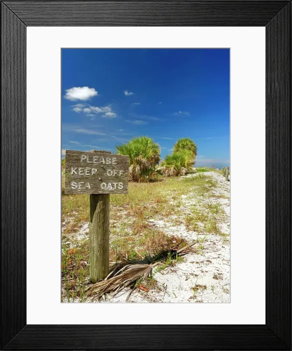 Framed Print : Florida, Clearwater, Indian Rocks Beach, Signage