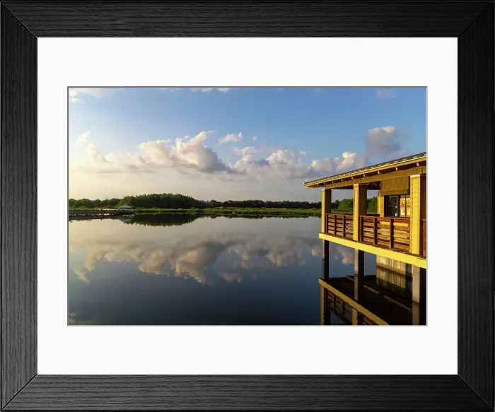 Framed Print : Florida, Boynton Beach, Green Cay Nature Center & Wetlands Framed Print : Florida, Boynton Beach, Green Cay Nature Center & Wetlands