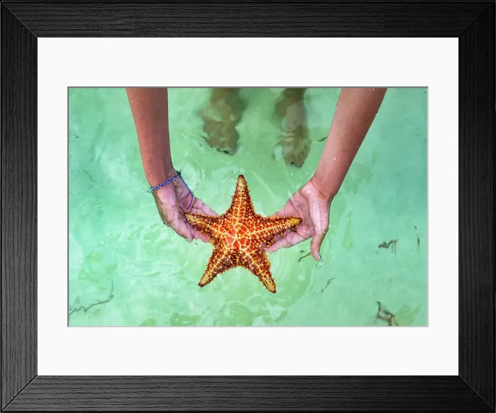 Framed Print : Cayman Islands, Grand Cayman, Starfish Point Framed Print : Cayman Islands, Grand Cayman, Starfish Point