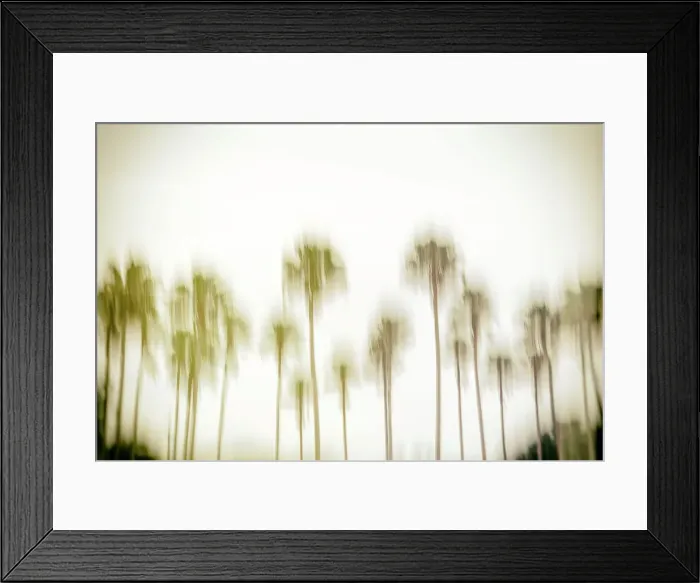 Framed Print : Abstract of row of palm trees Framed Print : Abstract of row of palm trees