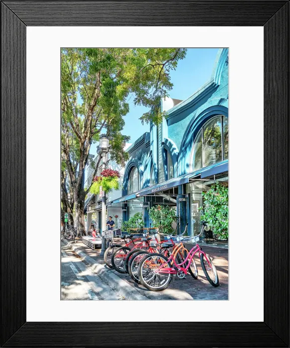 Framed Print : Florida, South Florida, Miami, Coconut Grove Framed Print : Florida, South Florida, Miami, Coconut Grove