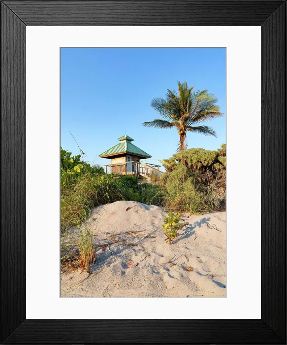 Framed Print : Florida, Boca Raton, lifeguard tower with palm tree at the beach Framed Print : Florida, Boca Raton, lifeguard tower with palm tree at the beach