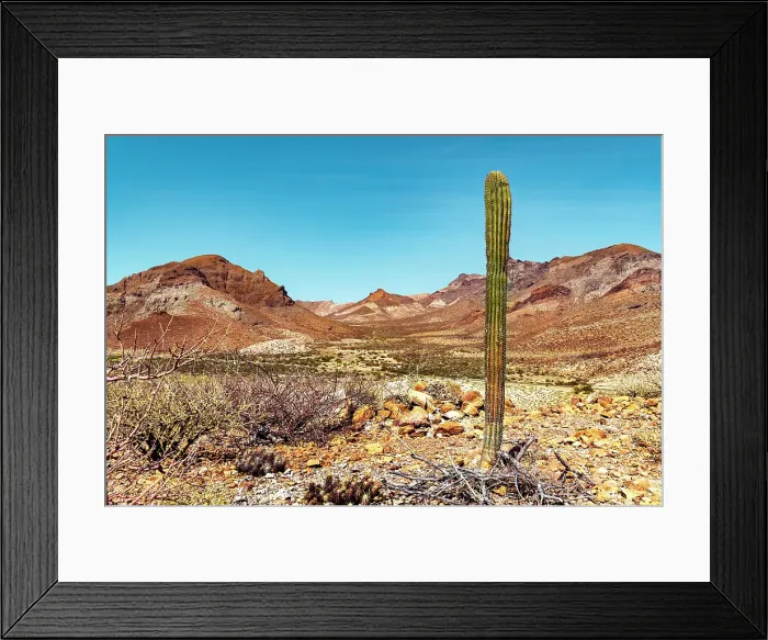Framed Print : Mexico, La Paz, Baja California Sur, Desert Landscape by Ensenada del Shiro Framed Print : Mexico, La Paz, Baja California Sur, Desert Landscape by Ensenada del Shiro