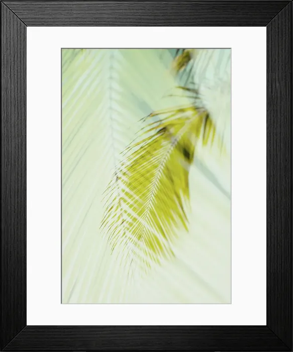 Framed Print : Abstract of tropical hanging palm Framed Print : Abstract of tropical hanging palm