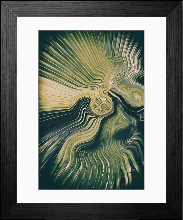 Framed Print : Abstract of detail of fan palm Framed Print : Abstract of detail of fan palm