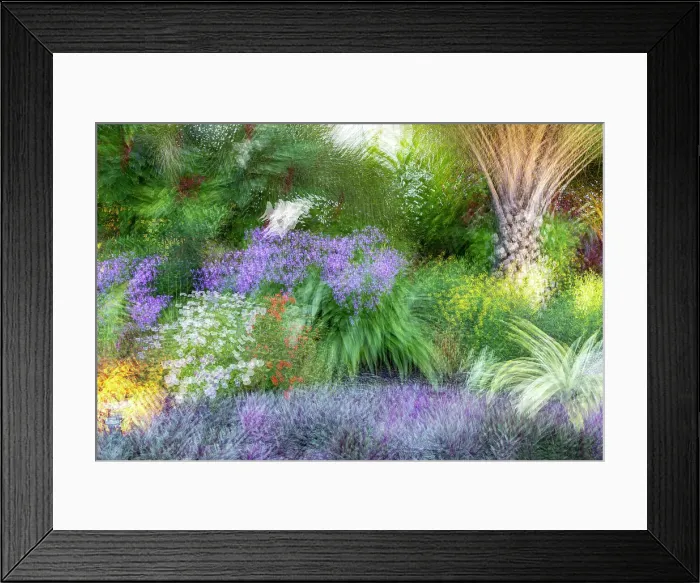 Framed Print : Abstract of colorful garden Framed Print : Abstract of colorful garden