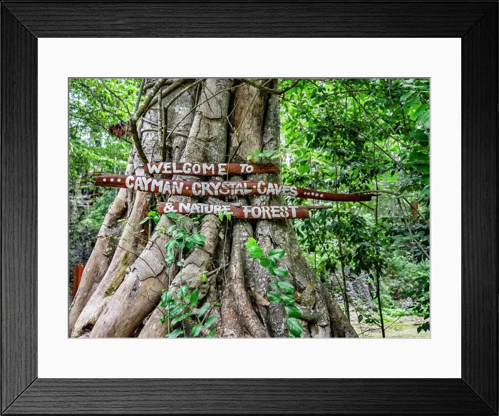 Framed Print : Cayman Islands, Grand Cayman, Cayman Crystal Caves & Nature Forest
