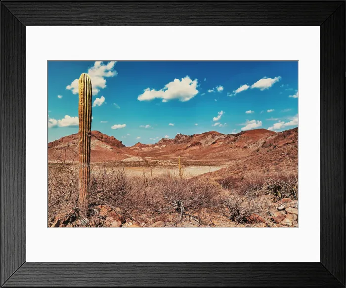 Framed Print : Mexico, La Paz, Baja California Sur, Desert Landscape Scene Framed Print : Mexico, La Paz, Baja California Sur, Desert Landscape Scene