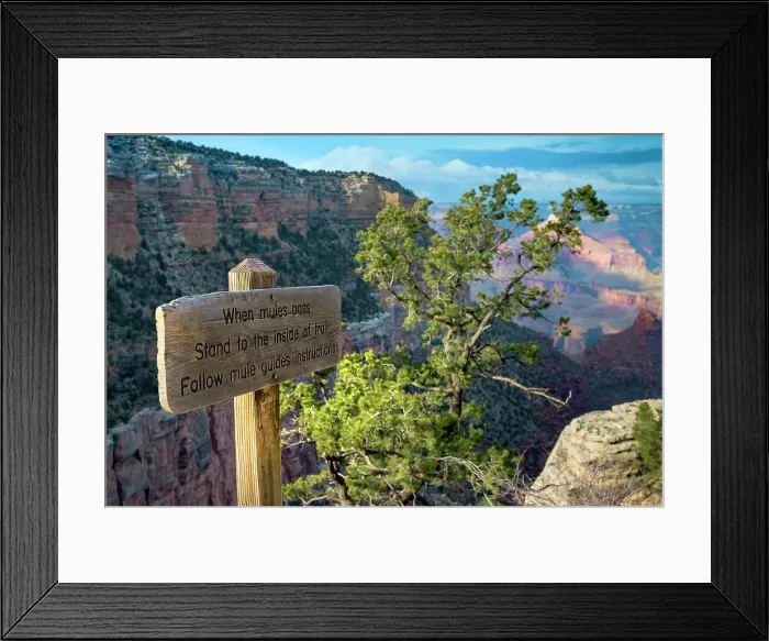 Framed Print : Grand Canyon National Park, South Rim Framed Print : Grand Canyon National Park, South Rim