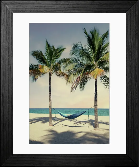 Framed Print : Florida, South Florida, Hollywood Beach, hammock hanging between two palm trees Framed Print : Florida, South Florida, Hollywood Beach, hammock hanging between two palm trees