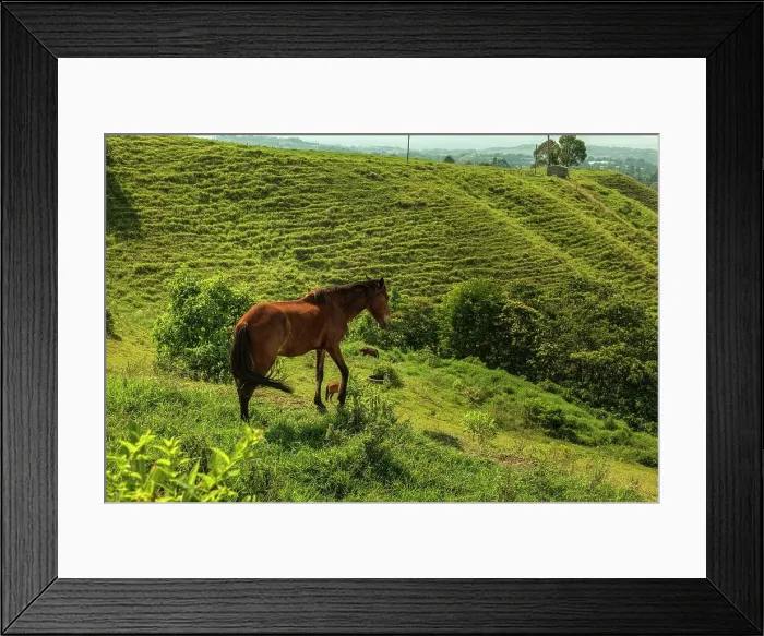 Framed Print : Colombia, Quindio, Filandia, Countryside Scene Framed Print : Colombia, Quindio, Filandia, Countryside Scene