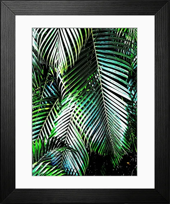 Framed Print : Paradise palms