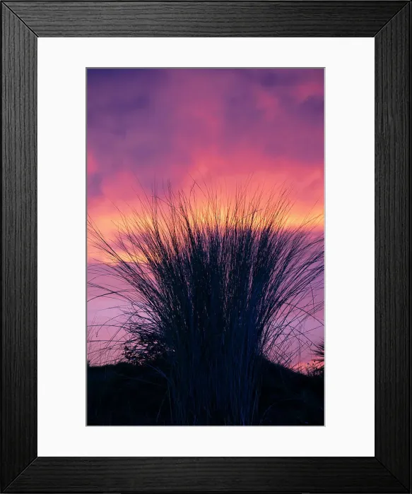 Framed Print : Silhouette of grassy plant against dramatic sky Framed Print : Silhouette of grassy plant against dramatic sky