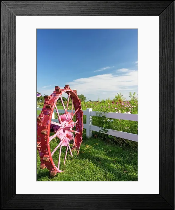 Framed Print : New York, Long Island, North fork, close up of pink tractor wheel