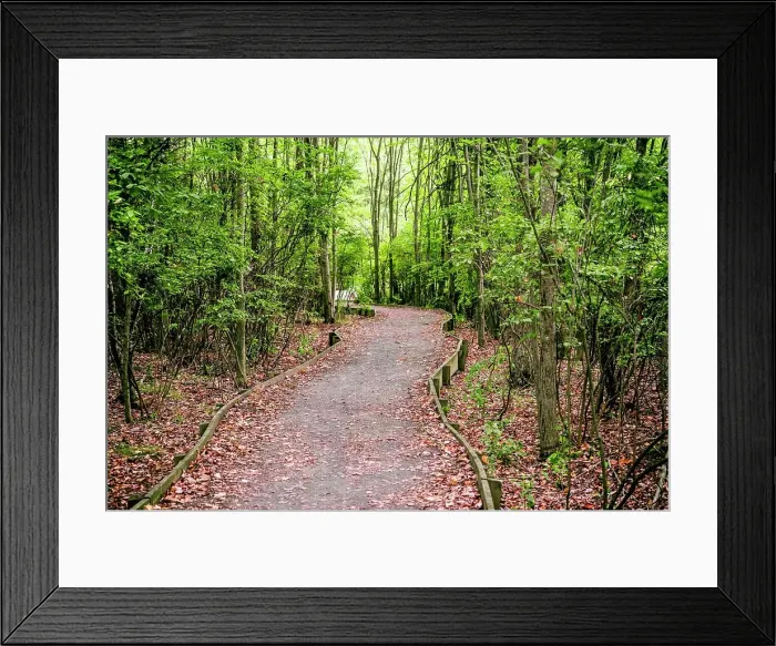 Framed Print : New Jersey, Morris County, Great Swamp National Wildlife Refuge Framed Print : New Jersey, Morris County, Great Swamp National Wildlife Refuge