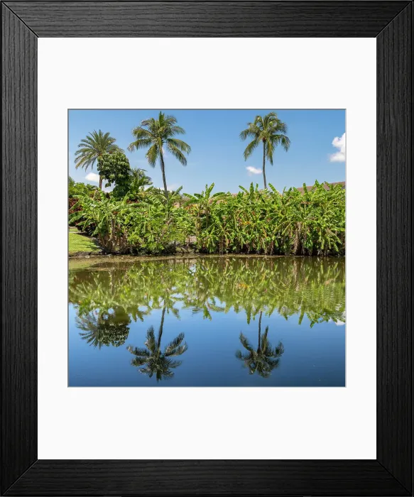 Framed Print : Palms reflecting over lake Framed Print : Palms reflecting over lake