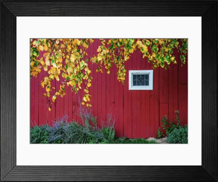 Framed Print : New York, Long Island, close up of red barn and window Framed Print : New York, Long Island, close up of red barn and window