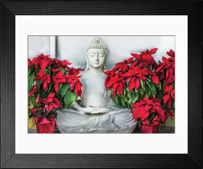 Framed Print : Florida, Delray Beach Framed Print : Florida, Delray Beach