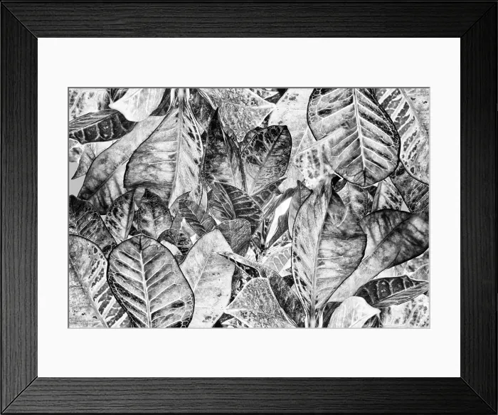 Framed Print : Abstract of leaves