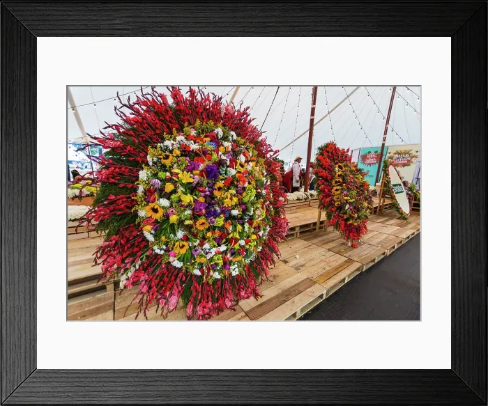 Framed Print : Colombia, Medellin, Flower Festival, Silletas Display Framed Print : Colombia, Medellin, Flower Festival, Silletas Display