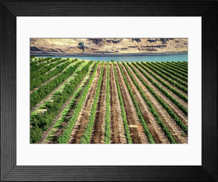 Framed Print : Washington, Maryhill Winery along the Columbia River Gorge Framed Print : Washington, Maryhill Winery along the Columbia River Gorge