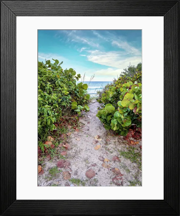 Framed Print : Florida, South Florida, Lantana, pathway leading toward beach Framed Print : Florida, South Florida, Lantana, pathway leading toward beach