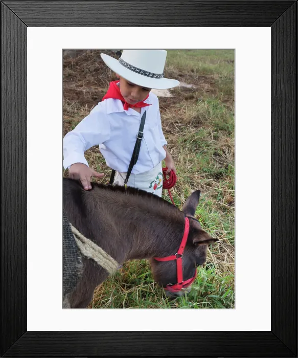 Framed Print : Colombia, Medellin, Little Boy on Typical Attire Petting a Foal Framed Print : Colombia, Medellin, Little Boy on Typical Attire Petting a Foal