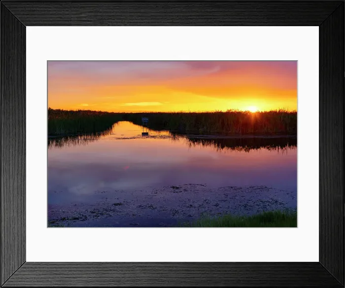 Framed Print : Florida, South Florida, Boynton Beach, Arthur R. Marshall Loxahatchee National Wildlife Refuge Framed Print : Florida, South Florida, Boynton Beach, Arthur R. Marshall Loxahatchee National Wildlife Refuge