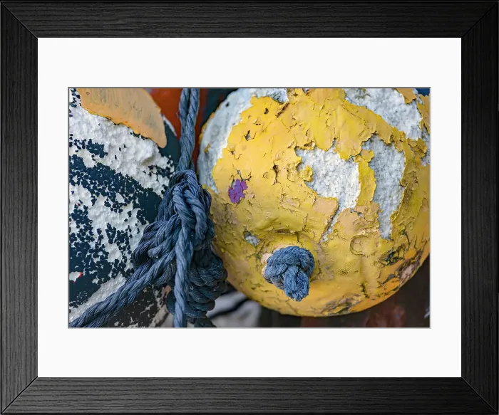 Framed Print : Still life of marine floating ball Framed Print : Still life of marine floating ball