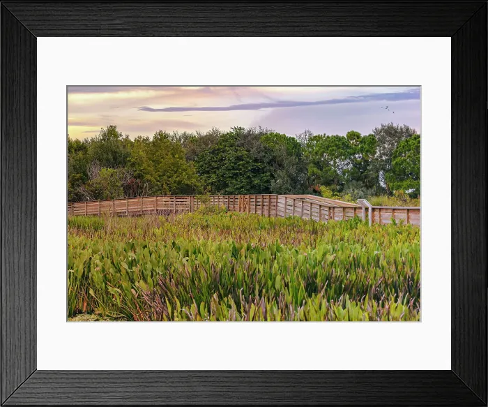 Framed Print : Florida, Boynton Beach, Green Cay Nature Center Framed Print : Florida, Boynton Beach, Green Cay Nature Center