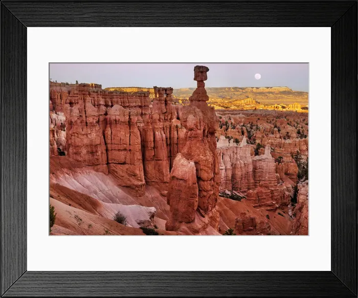 Framed Print : Utah, Bryce Canyon National Park, Colorado Plateau, View from Sunset Point to Thor's Hammer Framed Print : Utah, Bryce Canyon National Park, Colorado Plateau, View from Sunset Point to Thor's Hammer