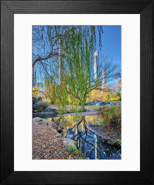 Framed Print : New York City, Central Park, billionaire's row skyline reflected on Central Park's the pond Framed Print : New York City, Central Park, billionaire's row skyline reflected on Central Park's the pond