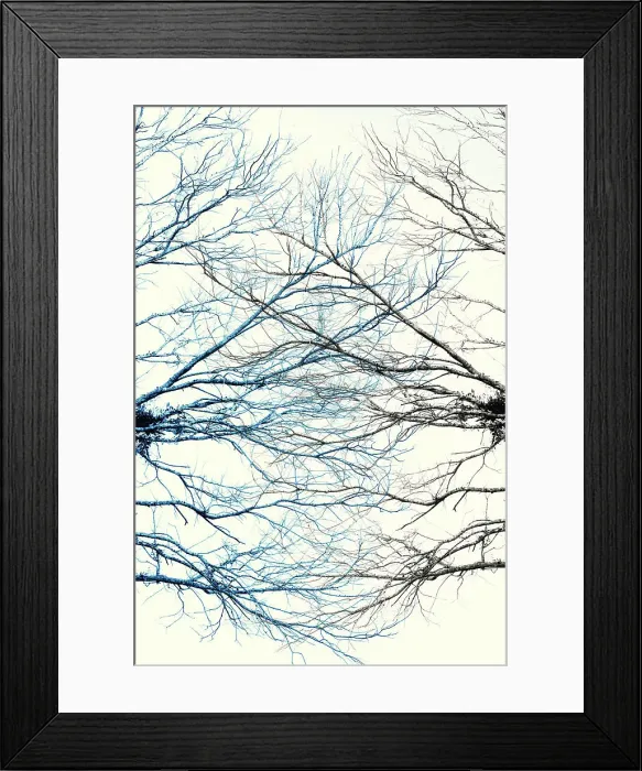 Framed Print : Branch Art
