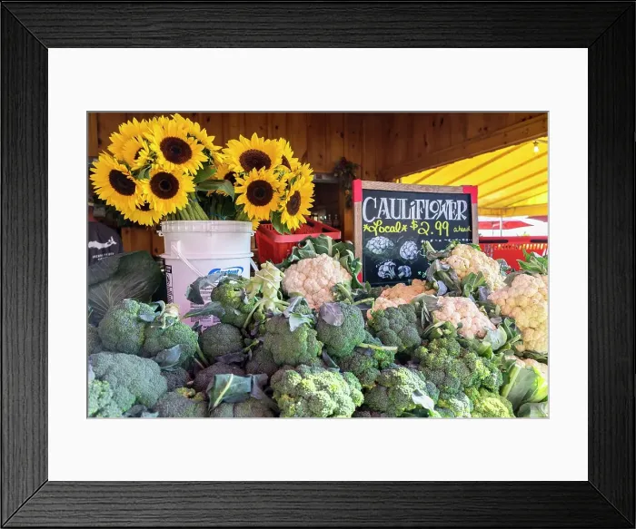 Framed Print : New York, Long Island, North Fork, farmstand along road Framed Print : New York, Long Island, North Fork, farmstand along road