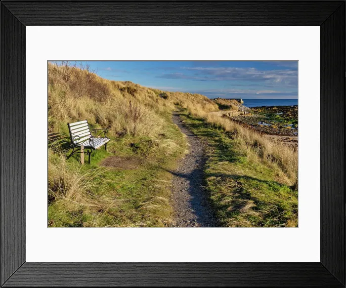 Framed Print : UK, Scotland, Balintore, grassland trail and bench with a view Framed Print : UK, Scotland, Balintore, grassland trail and bench with a view