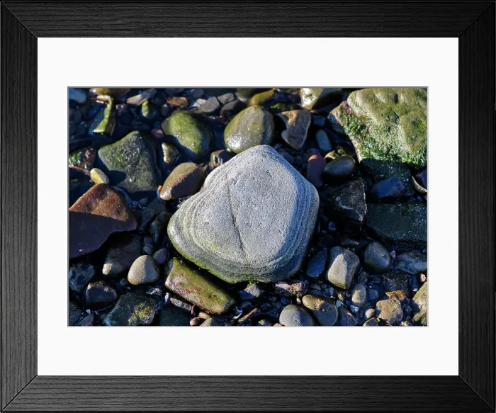 Framed Print : Closeup of rock Framed Print : Closeup of rock