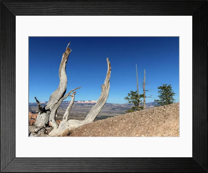 Framed Print : Utah, Beautiful Landscape at Bryce Canyon National Park Framed Print : Utah, Beautiful Landscape at Bryce Canyon National Park