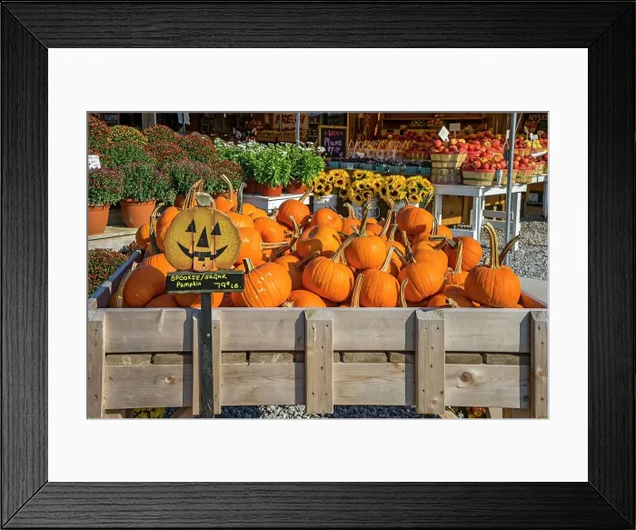 Framed Print : New York, Long Island, farm stand, pumpkins in wooden crate