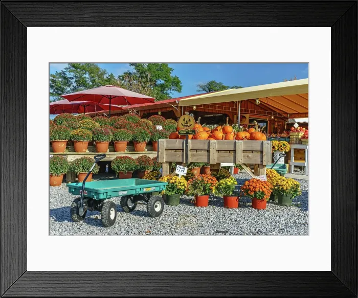 Framed Print : New York, Long Island, fruit and vegetable stand along road Framed Print : New York, Long Island, fruit and vegetable stand along road