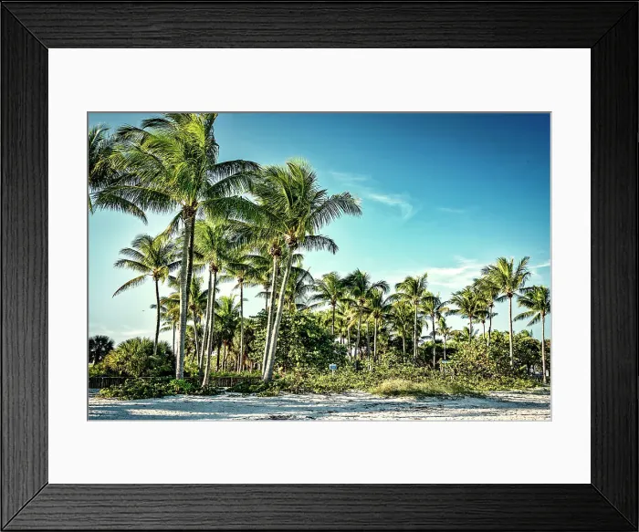 Framed Print : Florida, North Palm Beach, Palm Beach County, Peanut Island Framed Print : Florida, North Palm Beach, Palm Beach County, Peanut Island
