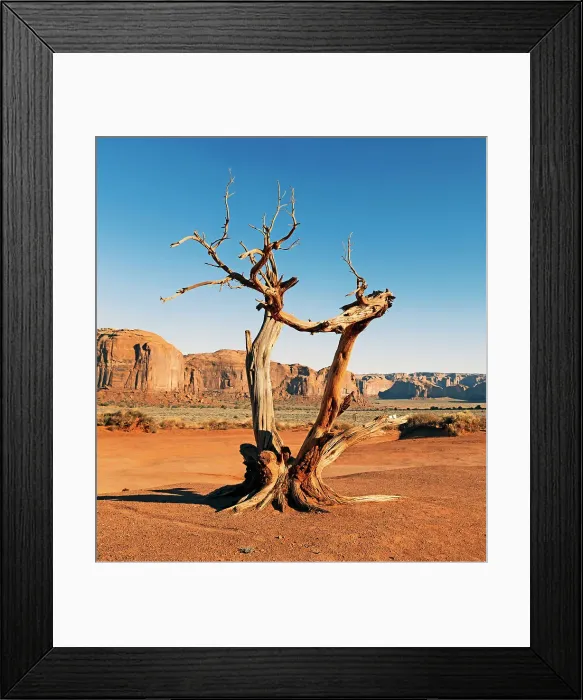 Framed Print : Arizona, Monument Valley, Sand Stone Rocks and bare tree Framed Print : Arizona, Monument Valley, Sand Stone Rocks and bare tree