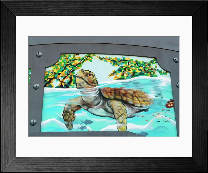 Framed Print : Florida, Palm Beach County, Sea Turtle Framed Print : Florida, Palm Beach County, Sea Turtle