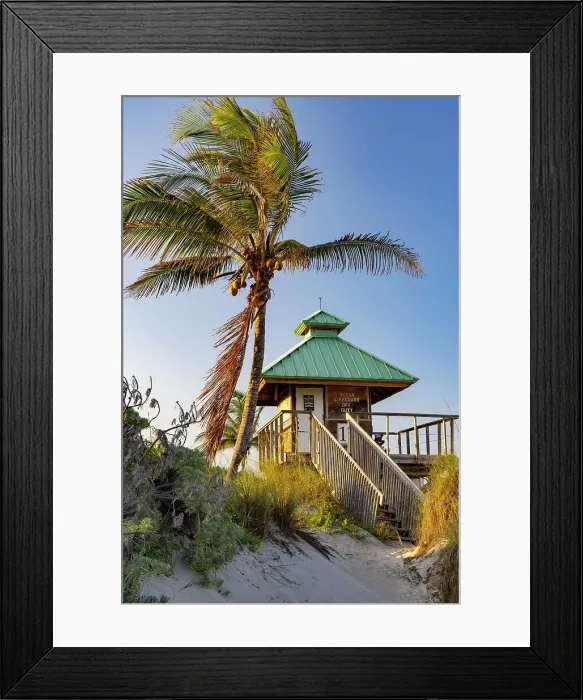 Framed Print : Florida, Boca Raton, lifeguard tower with palm tree at the beach Framed Print : Florida, Boca Raton, lifeguard tower with palm tree at the beach
