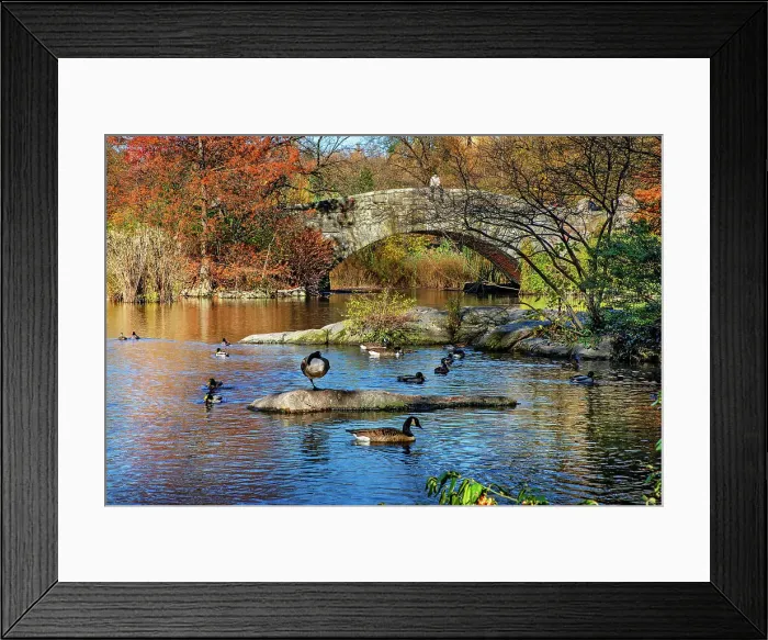 Framed Print : New York City, Central Park, Gapstow Bridge and Pond Framed Print : New York City, Central Park, Gapstow Bridge and Pond